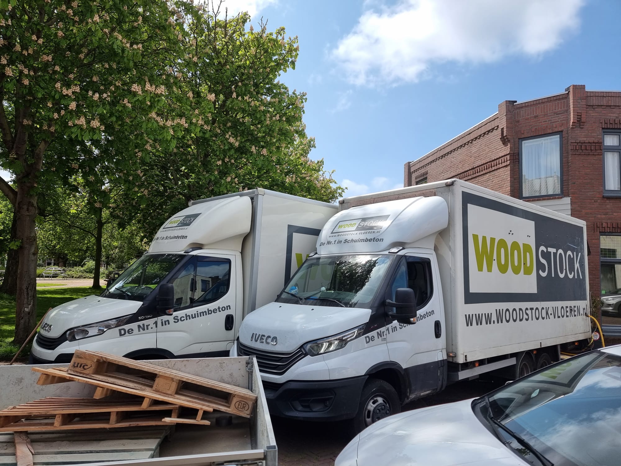 woodstock kiezen